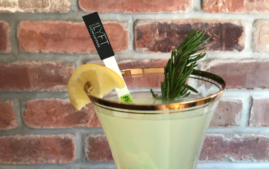 Rosemary Lemonade Recipe